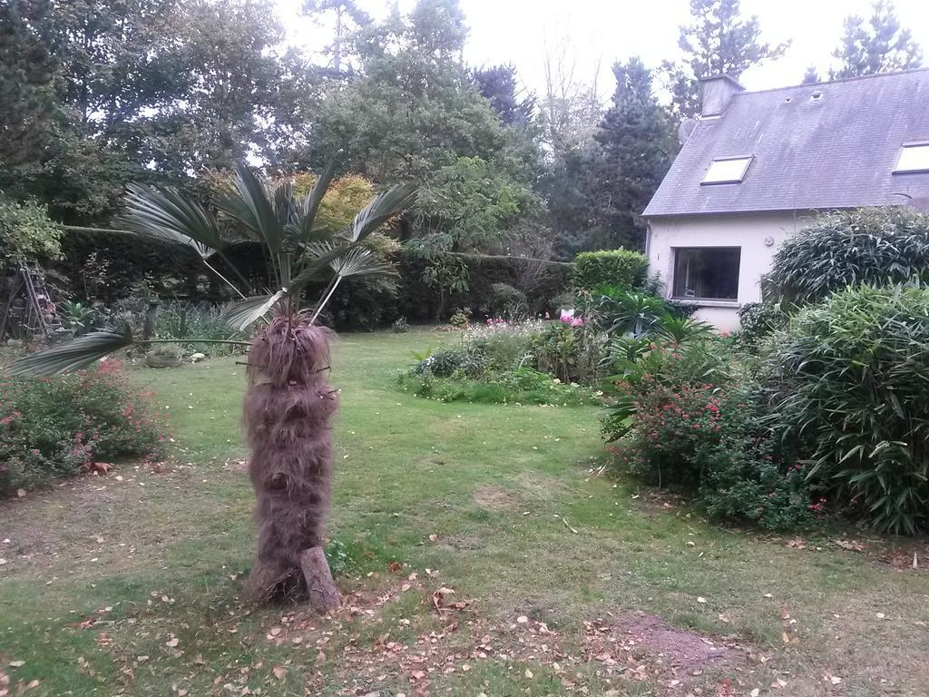 Chambres D'Hotes Les Mimosas Sables-d'Or-les-Pins Bagian luar foto